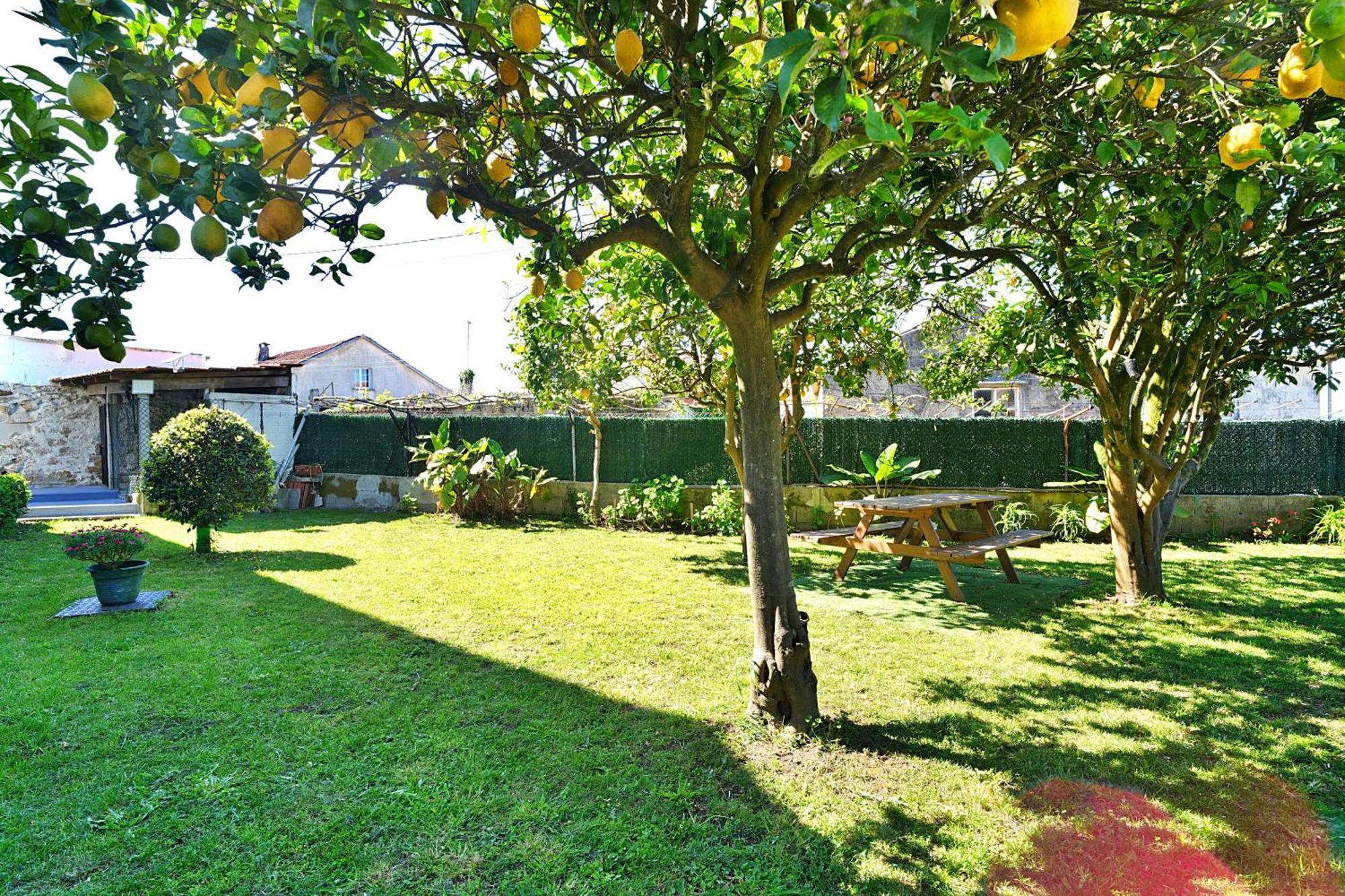Casa Con Jardin En Vilanova De Arousa Понтеведра Екстериор снимка